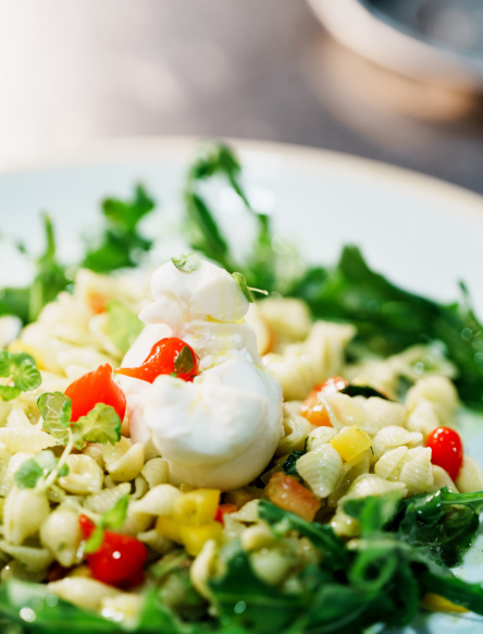 Möwe Nudelsalat mit Rucola und Mozzarella